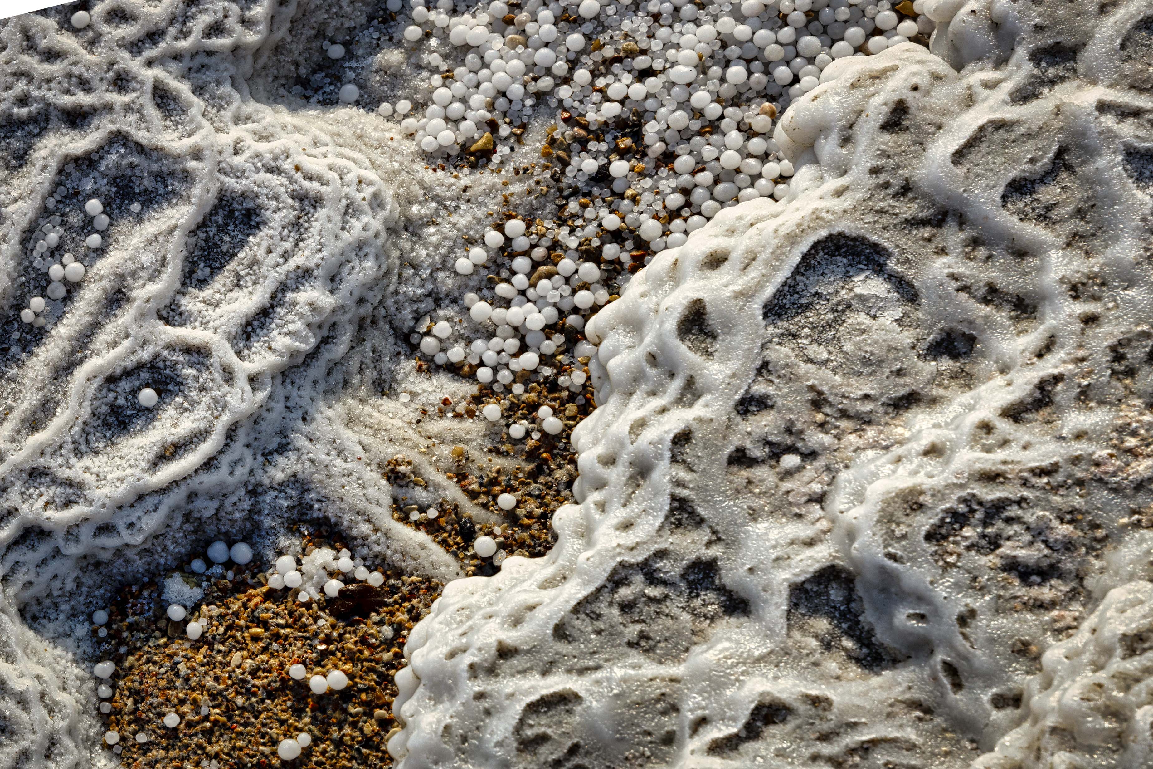 20201120-November 20, 2020-081245-081245-Edit.jpg